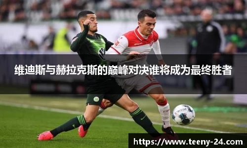 维迪斯与赫拉克斯的巅峰对决谁将成为最终胜者
